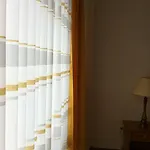 Apartment Flat Rent *