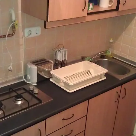 Flat Rent Apartment *